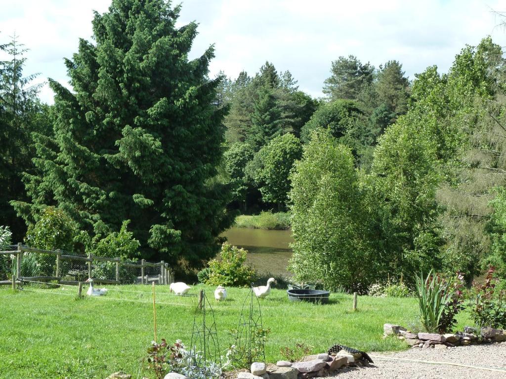 Chambres D'Hotes Logis De L'Etang De L'Aune Iffendic Exterior foto